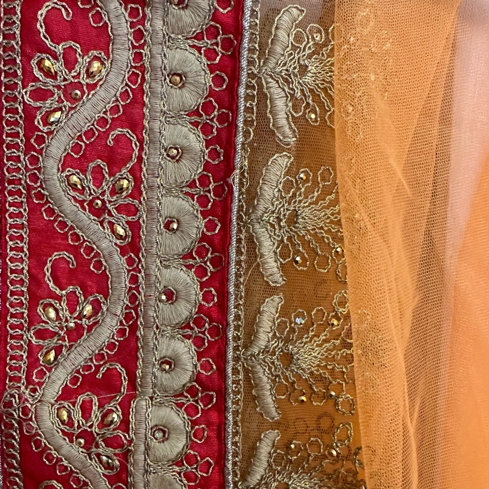 Orange And Red Net Dupatta With Gold Thread-Work … - image 1